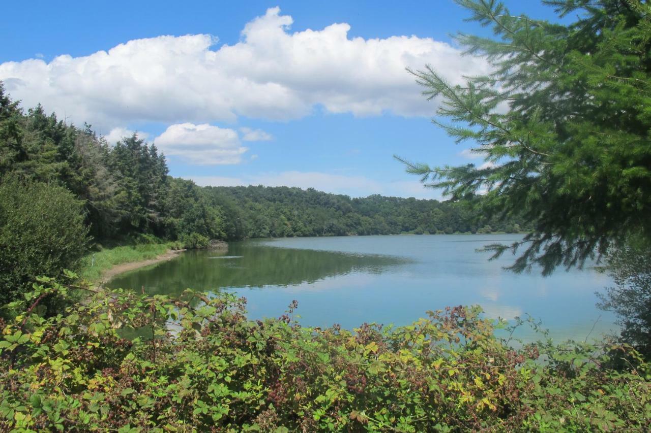 Вілла Le Contrevent Saint-Julien-des-Landes Екстер'єр фото
